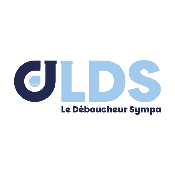 Logo LDS
