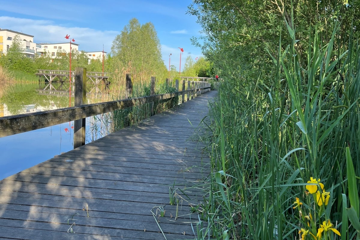 ville-de-bois-d-arcy